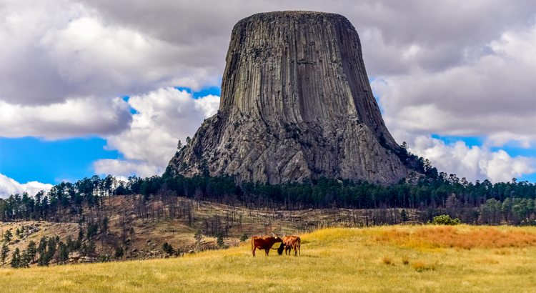 USA Wyoming Devils Tower Foto iStock Maurice Northrup.jpg